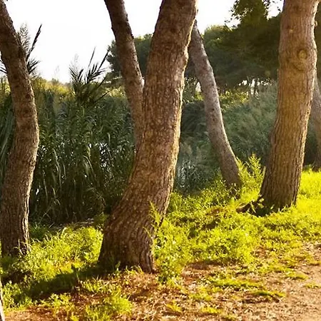 Διαμέρισμα Ca Les Rinconetes *