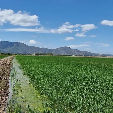 Ca Les Rinconetes Διαμέρισμα *